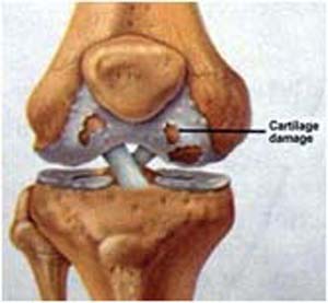 Fig. 8 Fig. 8