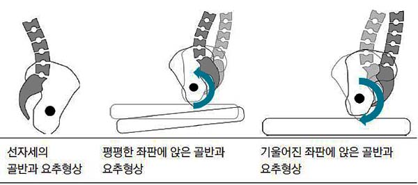 그림 1 그림 1