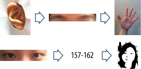 Figure 3 Figure 3
