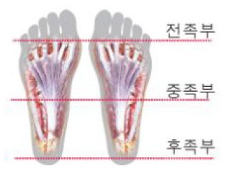 Figure 5 Figure 5