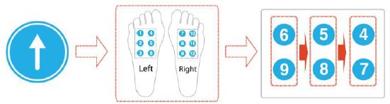 Figure 11 Figure 11