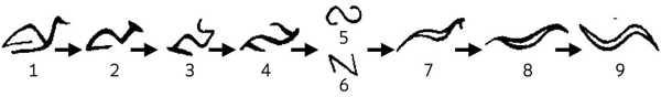 Figure 7 Figure 7