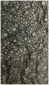Figure 41 Figure 41