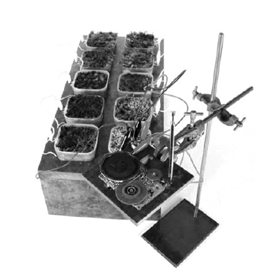 Figure 13a Figure 13a