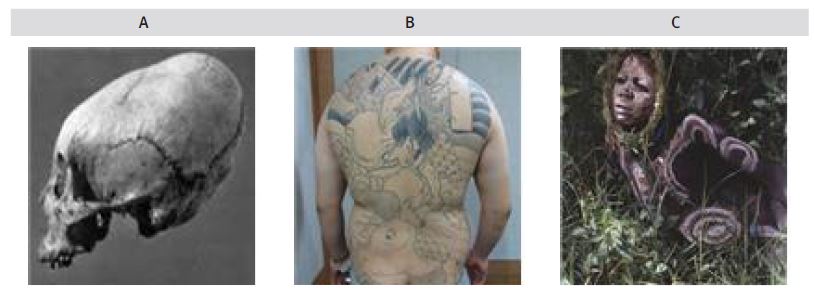 Figure 2 Figure 2