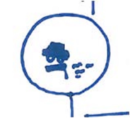 Figure 4b