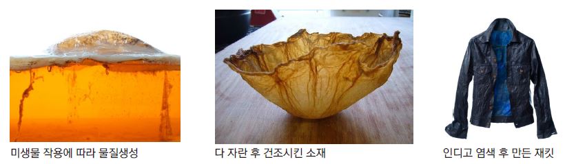 Figure 15 Figure 15