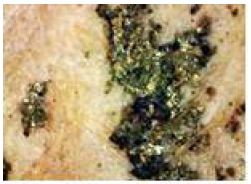 Figure 2 Figure 2