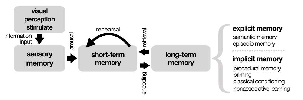 Figure 1 Figure 1
