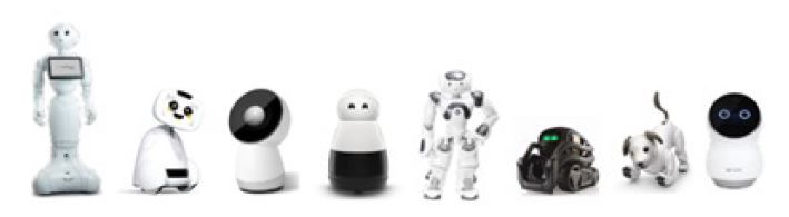 Figure 1 Figure 1