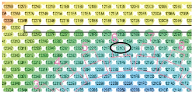 Figure 11 Figure 11