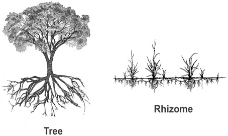 Figure 2 Figure 2