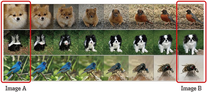 Figure 10 Figure 10