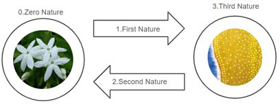 Figure 11 Figure 11