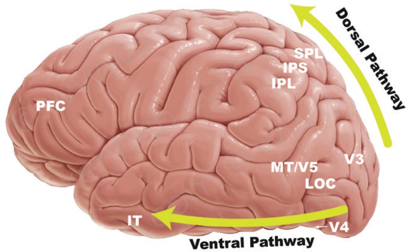 Figure 2 Figure 2