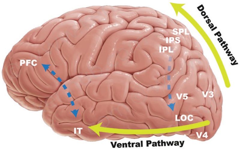 Figure 3 Figure 3